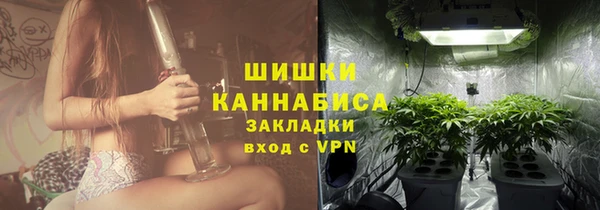 спиды Арсеньев