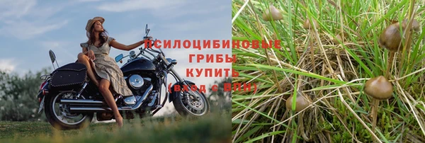 спиды Арсеньев