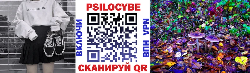 Галлюциногенные грибы мухоморы  Бакал 