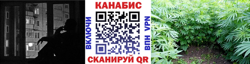 где можно купить   Бакал  МАРИХУАНА план 